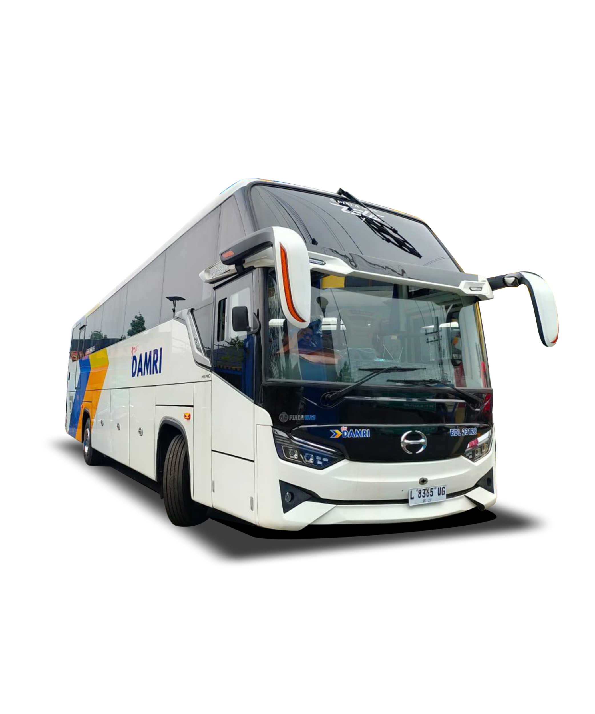 image of GSO PROJECT